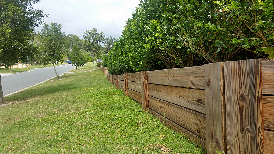 long wood fences and small trees inside