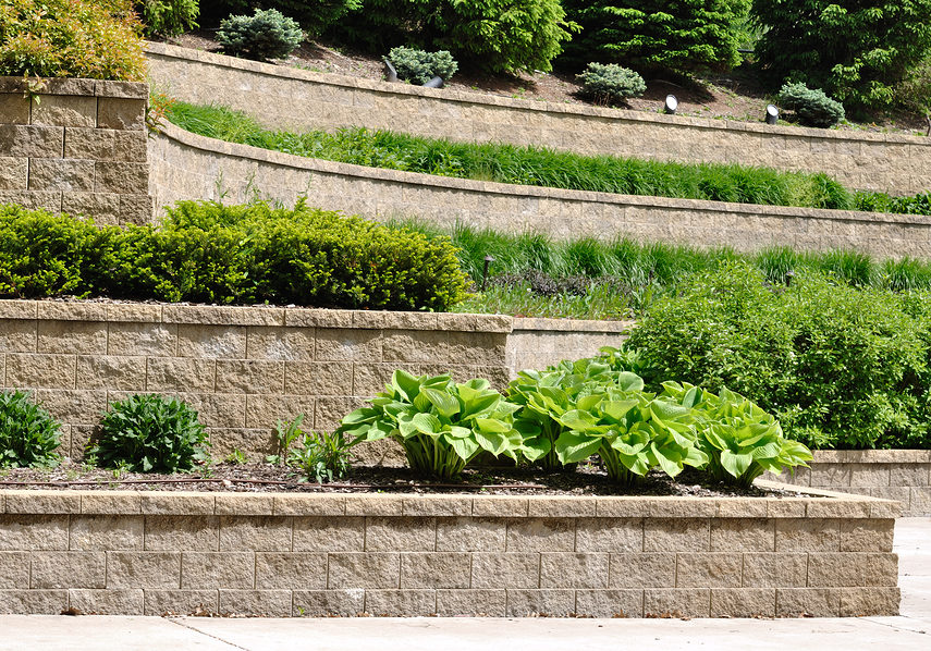 tiered retaining wall with hosta and shrubs